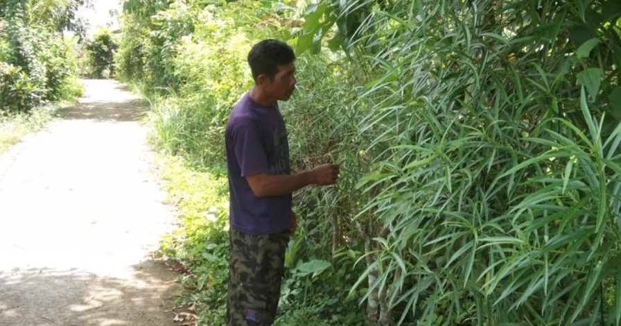 Cek Lapang Program Tanah untuk Perhutanan Dilaksanakan di Desa Pohsanten